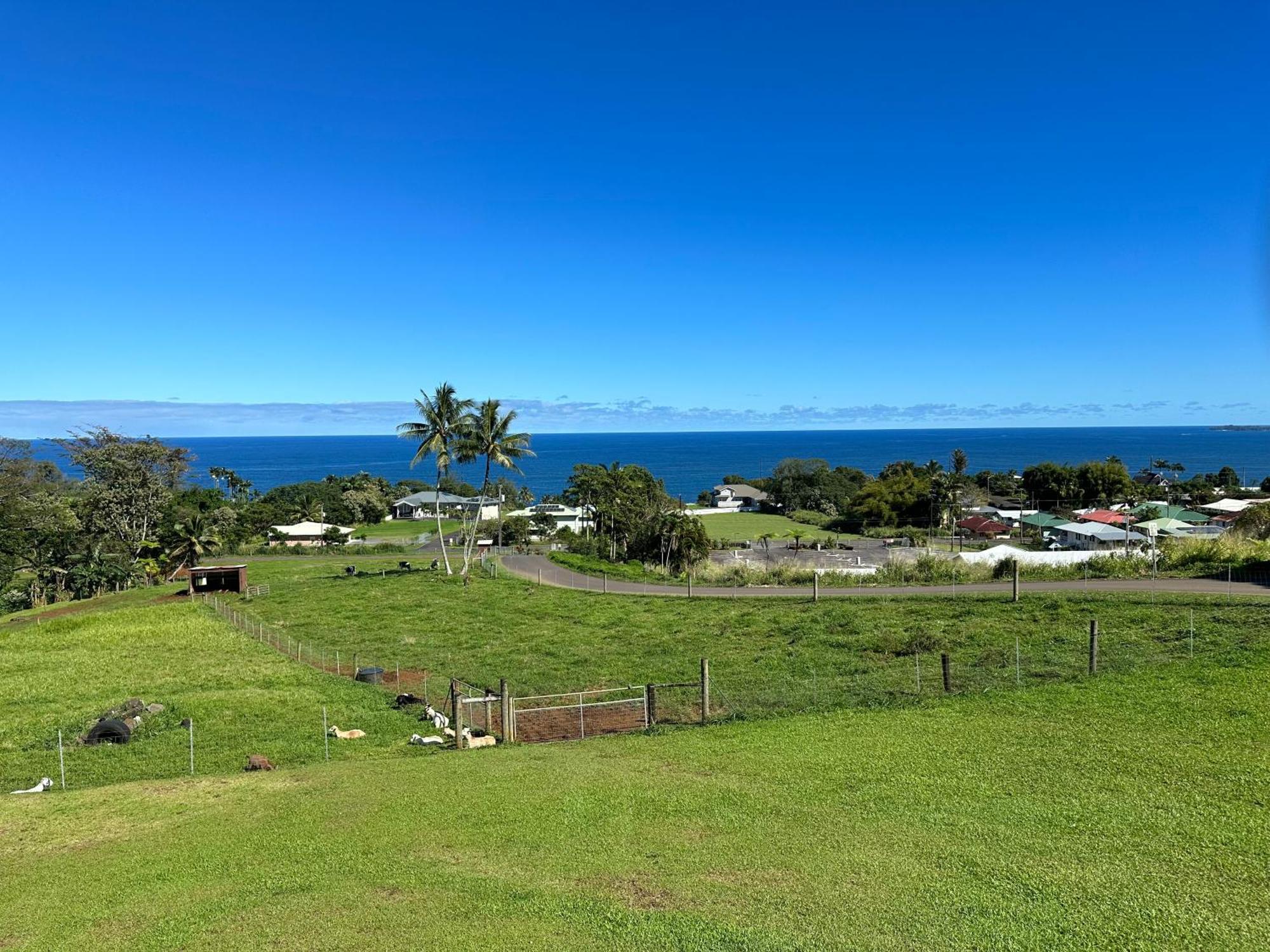 Hawaii Magic Skies Farmstay Paukaa Exteriör bild