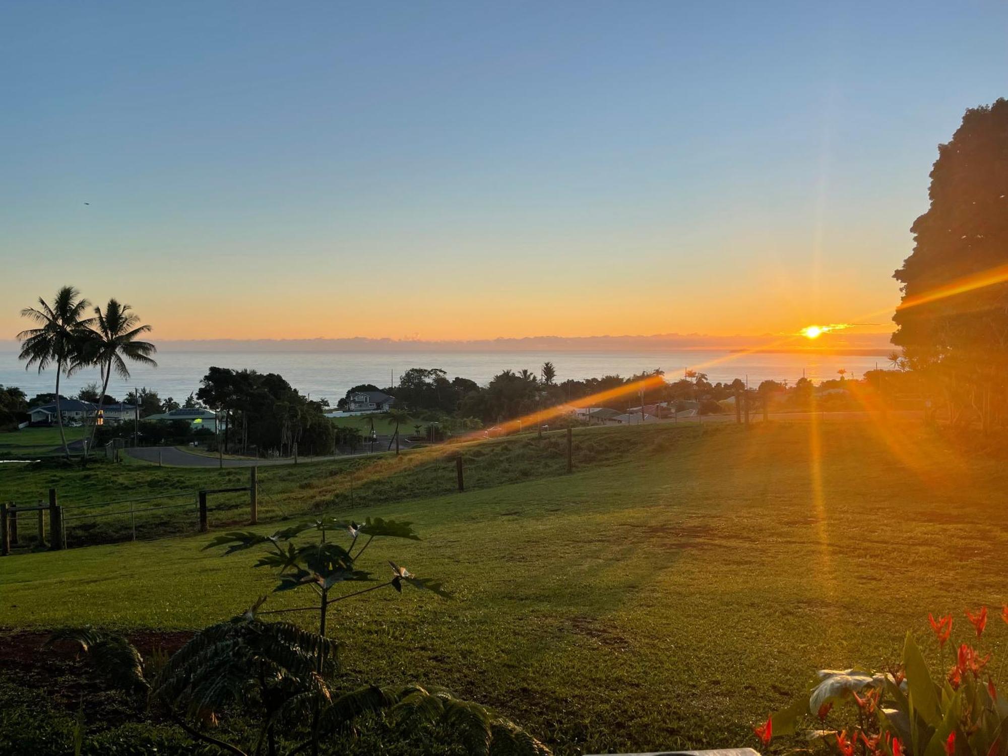 Hawaii Magic Skies Farmstay Paukaa Exteriör bild