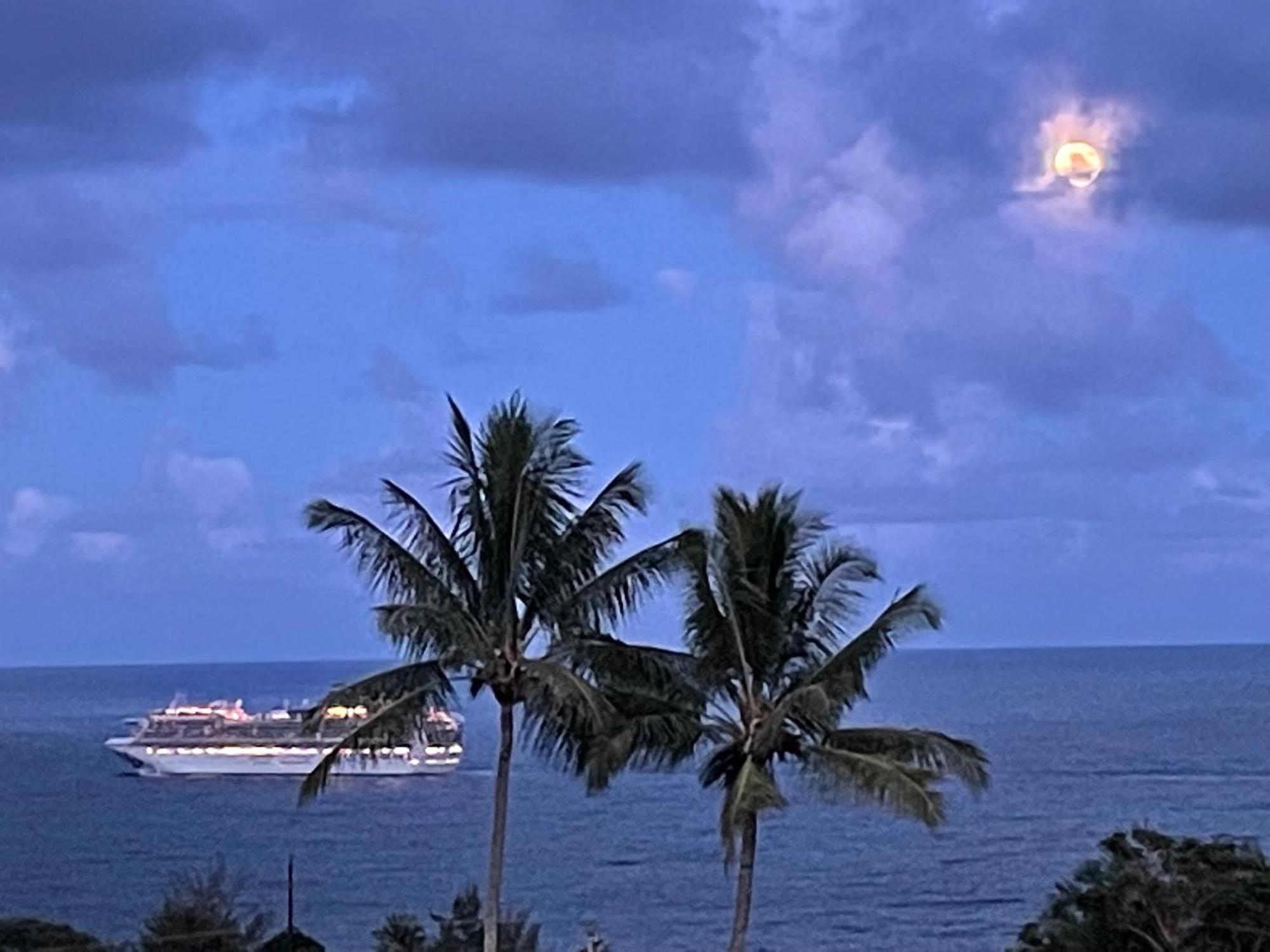 Hawaii Magic Skies Farmstay Paukaa Exteriör bild