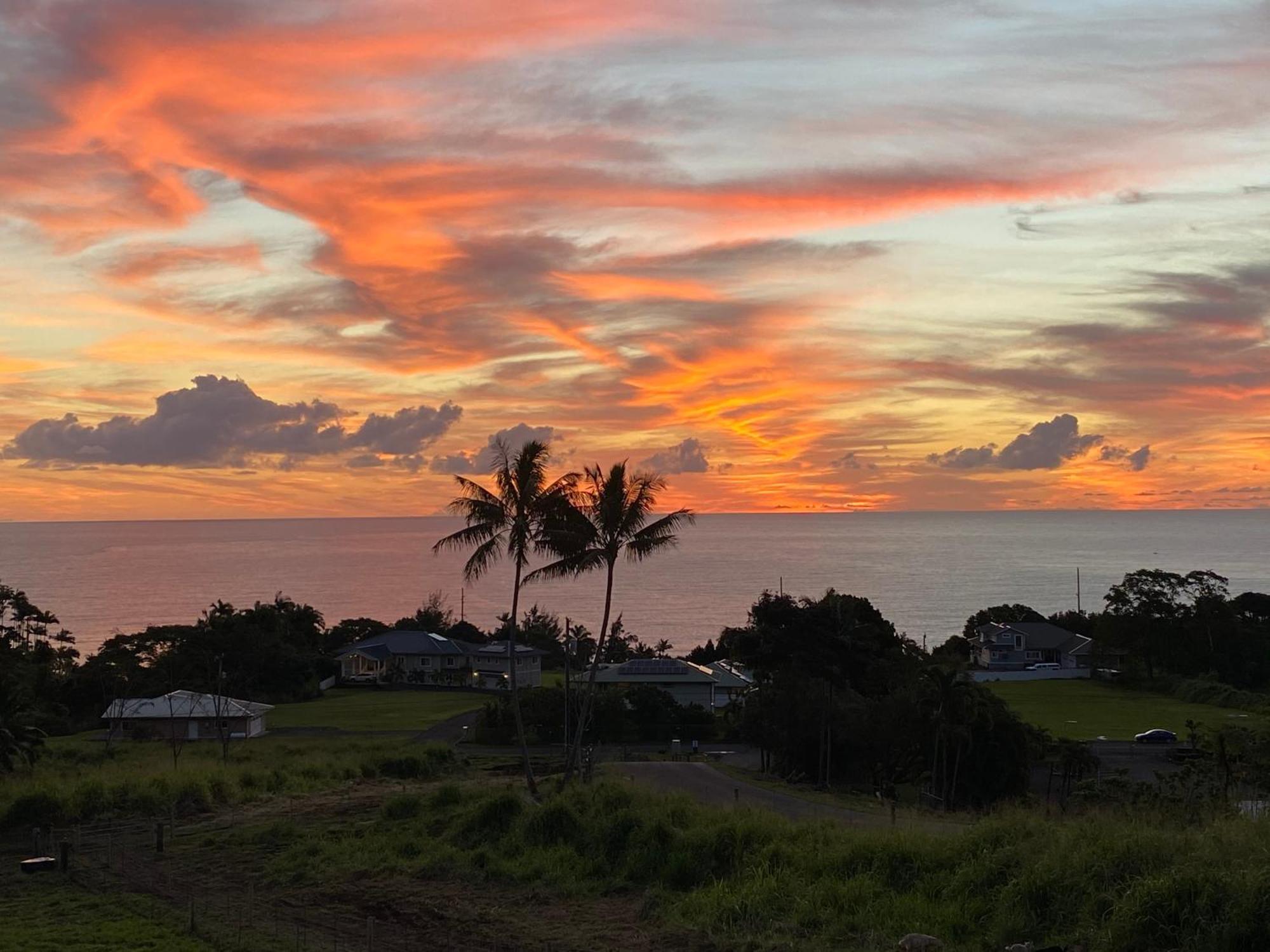 Hawaii Magic Skies Farmstay Paukaa Exteriör bild