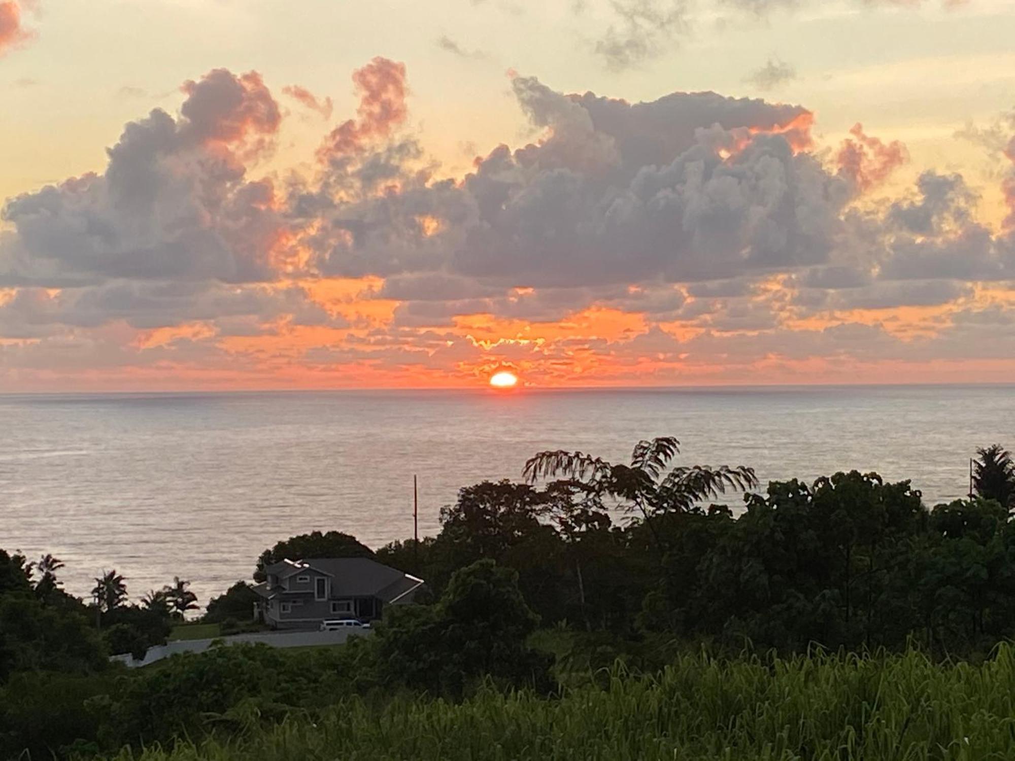 Hawaii Magic Skies Farmstay Paukaa Exteriör bild