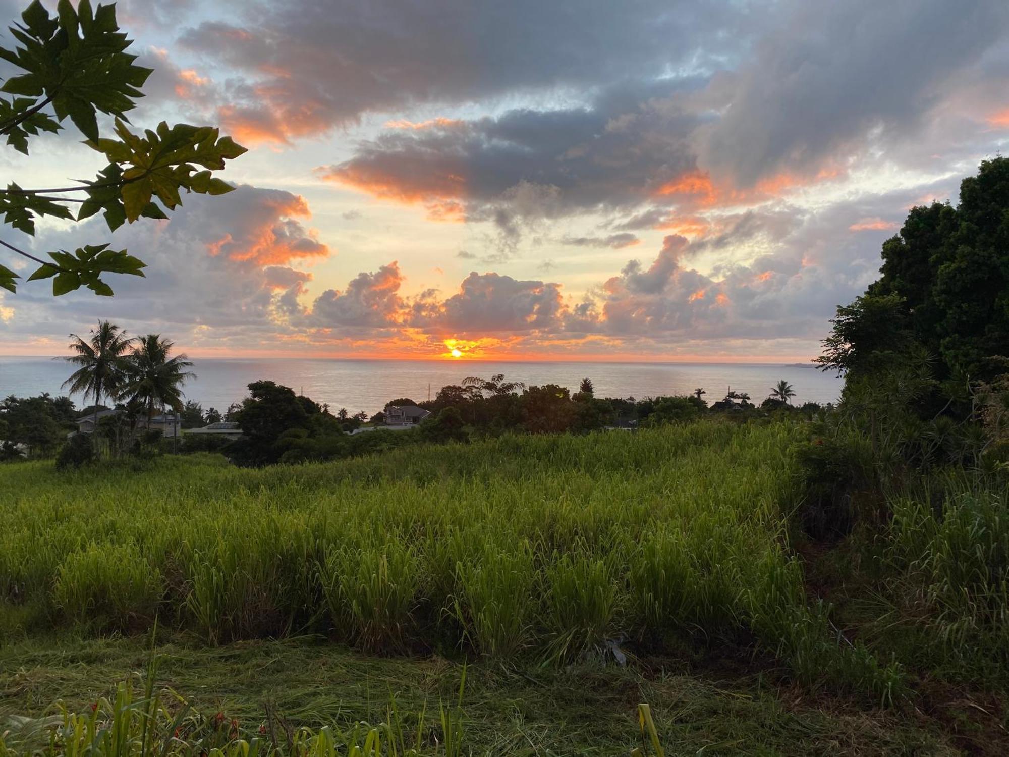 Hawaii Magic Skies Farmstay Paukaa Exteriör bild
