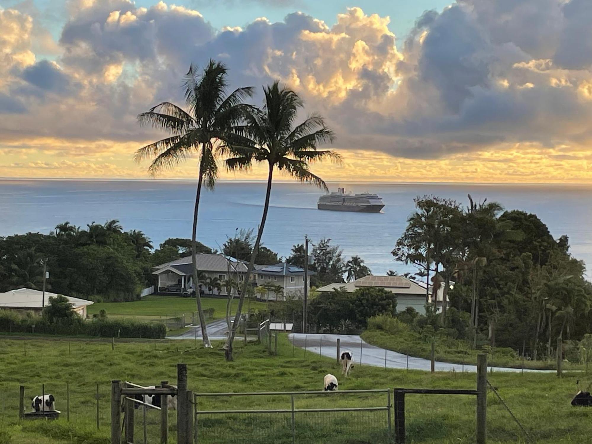 Hawaii Magic Skies Farmstay Paukaa Exteriör bild
