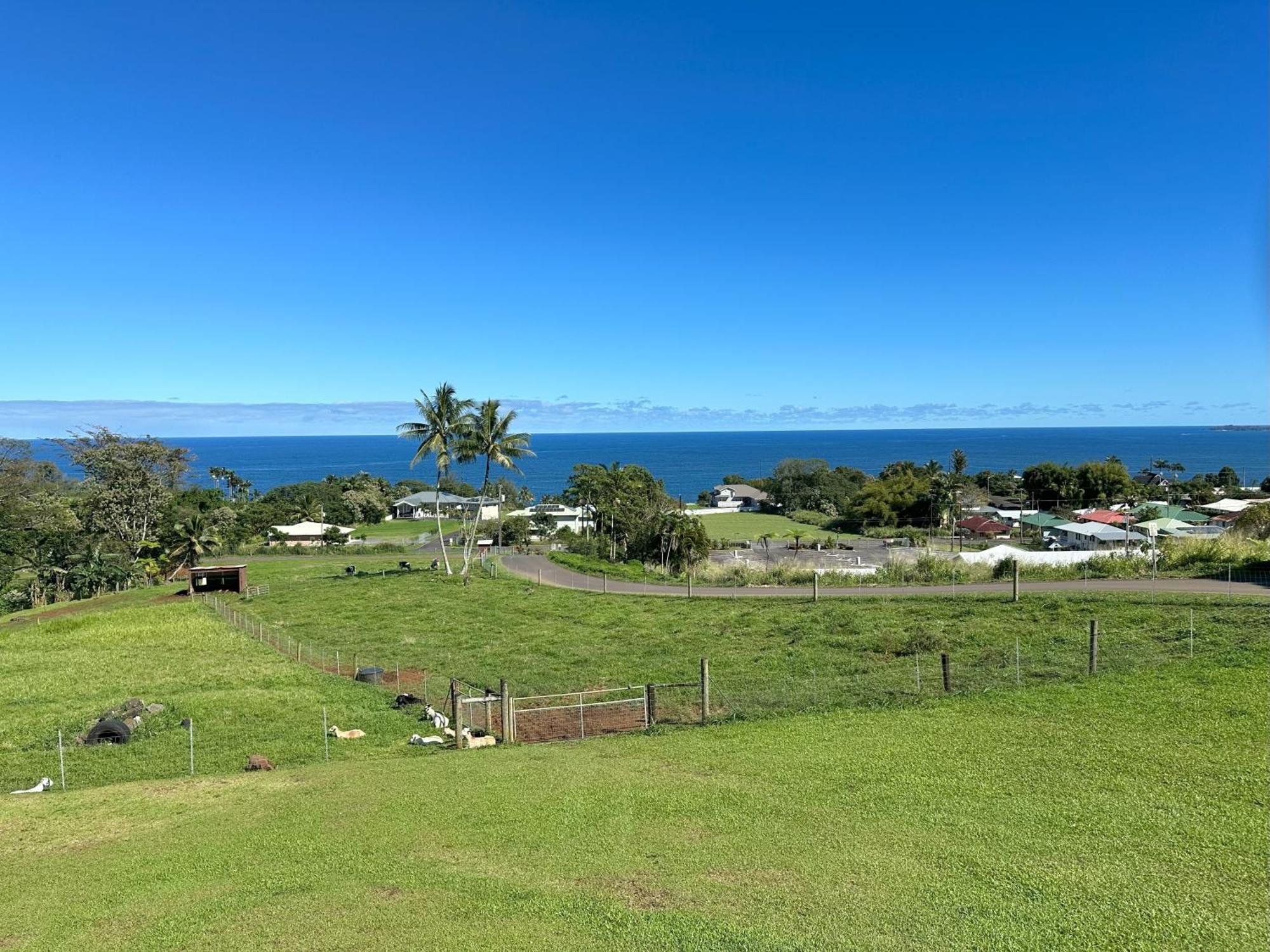 Hawaii Magic Skies Farmstay Paukaa Exteriör bild